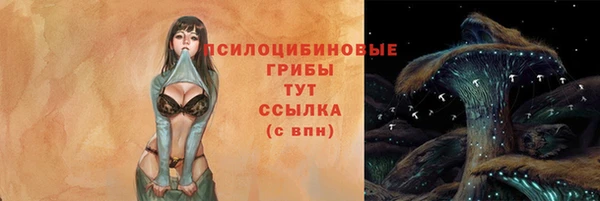 PSILOCYBIN Арсеньев