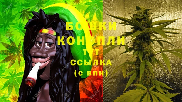 каннабис Аркадак