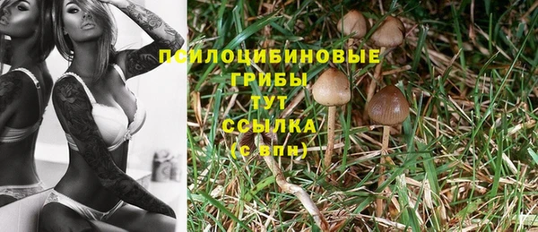 PSILOCYBIN Арсеньев