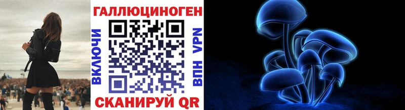 Псилоцибиновые грибы GOLDEN TEACHER  Берёзовский 
